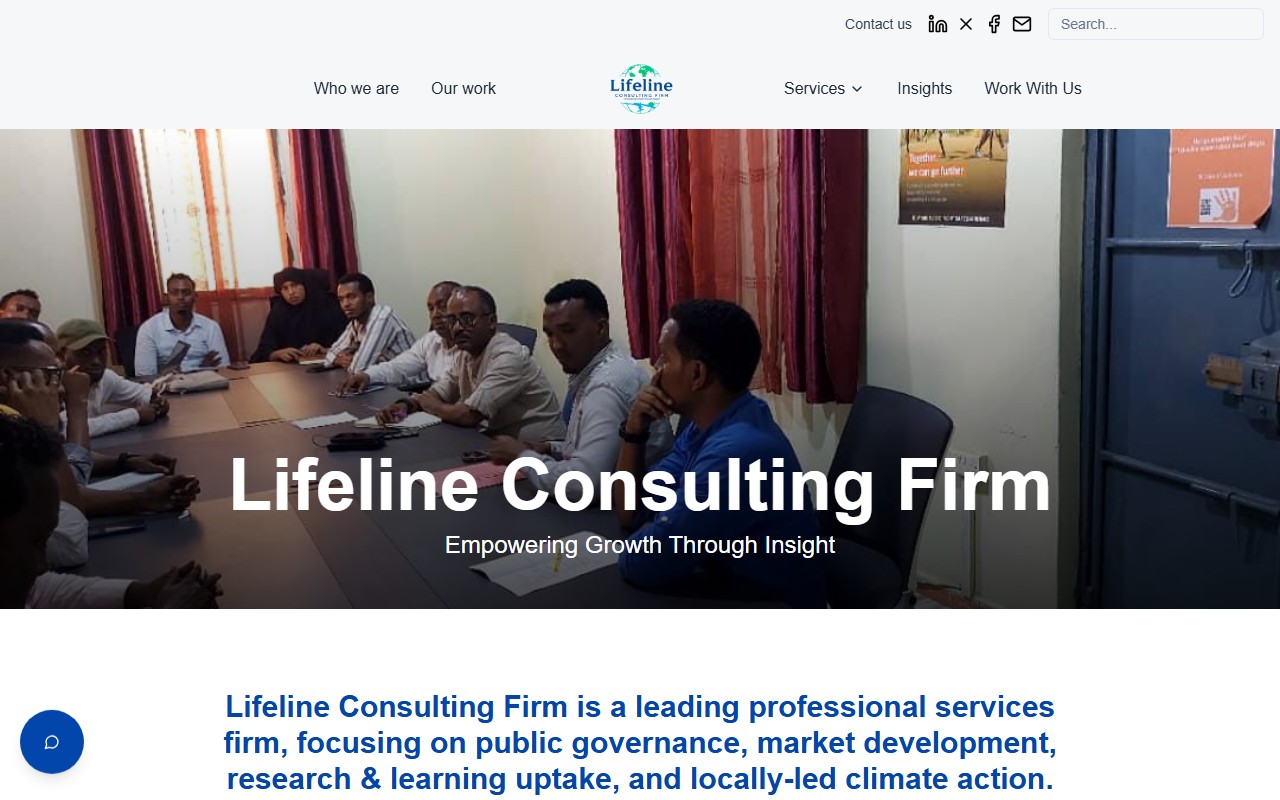 Screenshot of the Lifeline Consulting Firm project