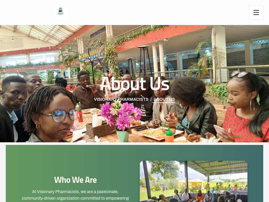 Screenshot of the Visionary Pharmacists project